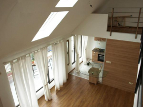 Great located architektural penthouse apartment